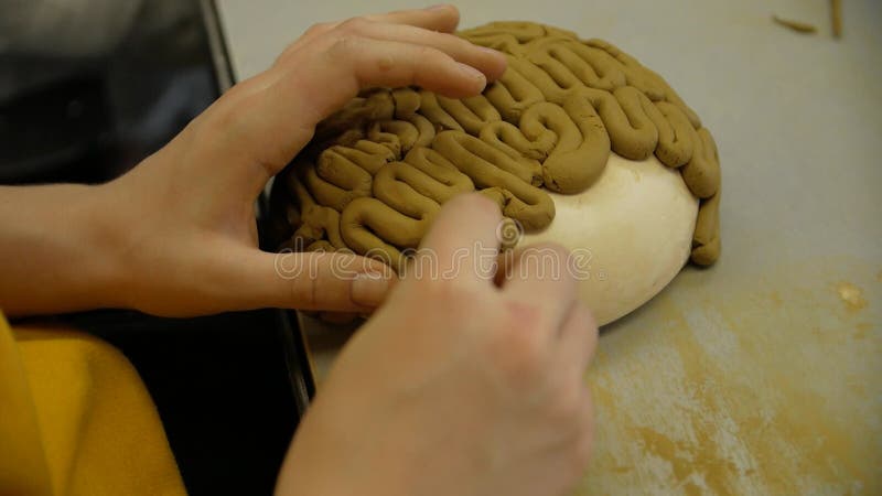 Chiusura delle mani dei bambini scolpendo l'argilla da modellazione in un laboratorio.