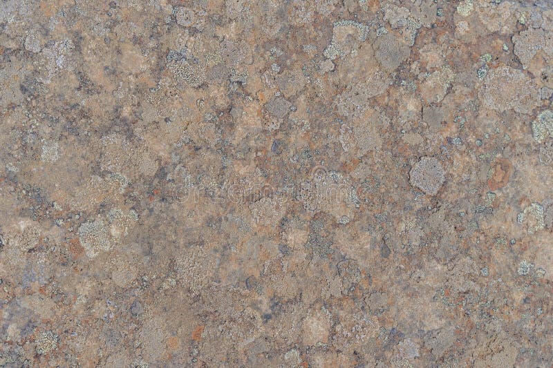 Chiusura dettagliata di una trama naturale di pietra con sfumature di beige e di grigio miste in Islanda fotografia stock