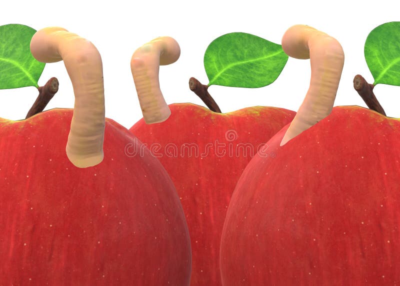 Chiusura di alcune mele rosse infestate da vermi su uno sfondo bianco royalty illustrazione gratis Chiusura di alcune mele rosse infestate da vermi su uno sfondo bianco royalty illustrazione gratis