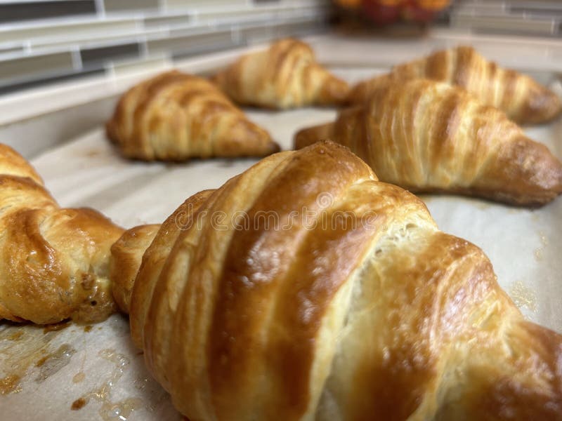 Chiusura di croissant appena cotto su un vassoio. immagine stock libera da diritti