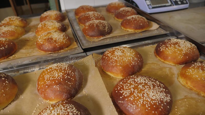 Chiusura di panini di hamburger appena cotto con semi di sesamo nella cucina del ristorante stock footage