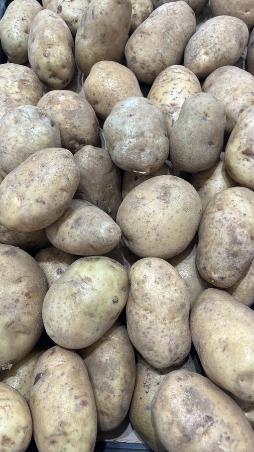Chiusura di una pila di patate fresche non lavate di diverse dimensioni e forme. Le superfici di potatoessura trattengono tracce d immagini stock