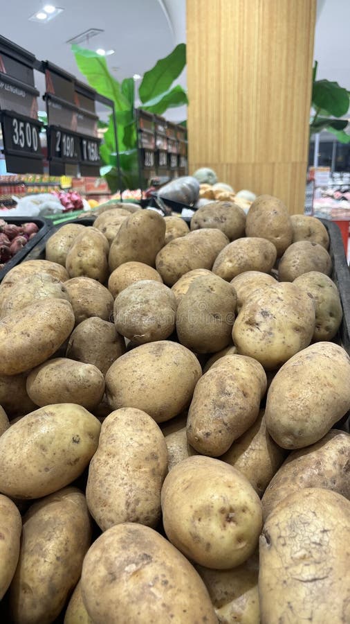 Chiusura di una pila di patate fresche non lavate di diverse dimensioni e forme. Le superfici di potatoessura trattengono tracce d fotografie stock libere da diritti