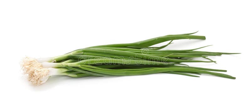 Chives