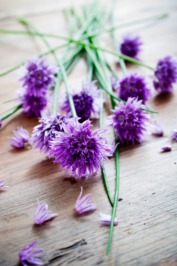 Chives