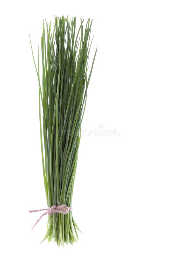 Bunch of chives on white background Stock Photo - Alamy