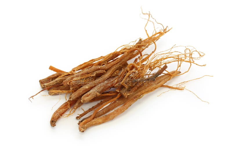 chiński ginseng Panax zakorzenia tradycyjnego obraz royalty free chiński ginseng Panax zakorzenia tradycyjnego obraz royalty free