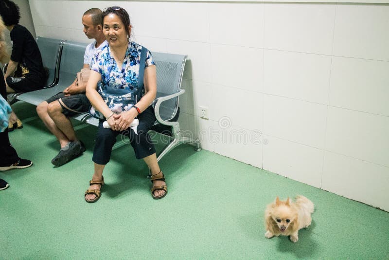 Chiński zwierzę domowe szpital obrazy stock Chiński zwierzę domowe szpital obrazy stock
