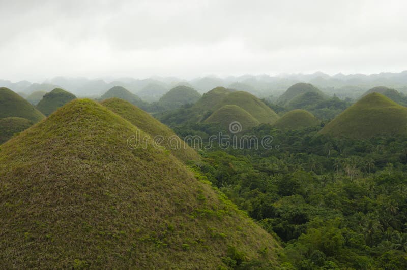 Chocoladeheuvels - Bohol - Filippijnen stock foto's Chocoladeheuvels - Bohol - Filippijnen stock foto's