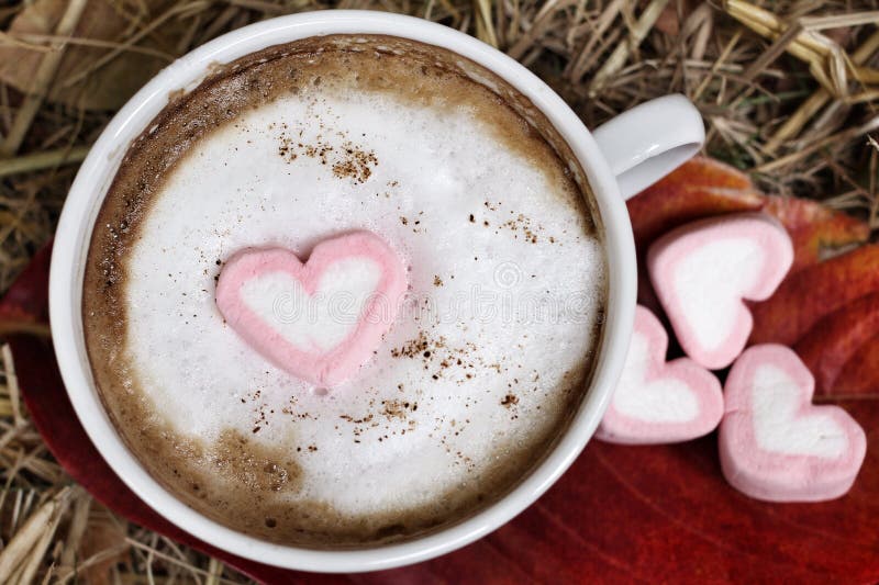 Chocolat chaud avec la guimauve de rose de coeur images libres de droits Chocolat chaud avec la guimauve de rose de coeur images libres de droits