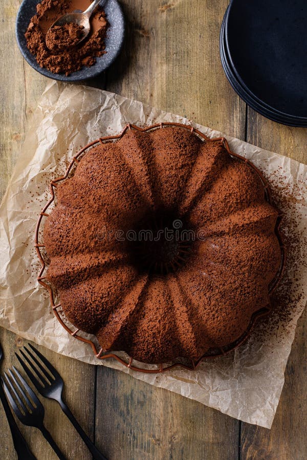 Chocolate Bundt Cake Dusted with Cocoa Powder Stock Photo Image of