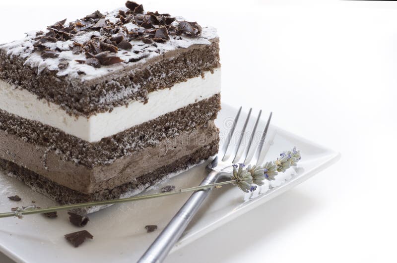 Chocolate cake. musse and chantilly cream. Chocolate cake. musse filled with chocolate and whipped cream on square plate royalty free stock photos Chocolate cake. musse and chantilly cream. Chocolate cake. musse filled with chocolate and whipped cream on square plate royalty free stock photos