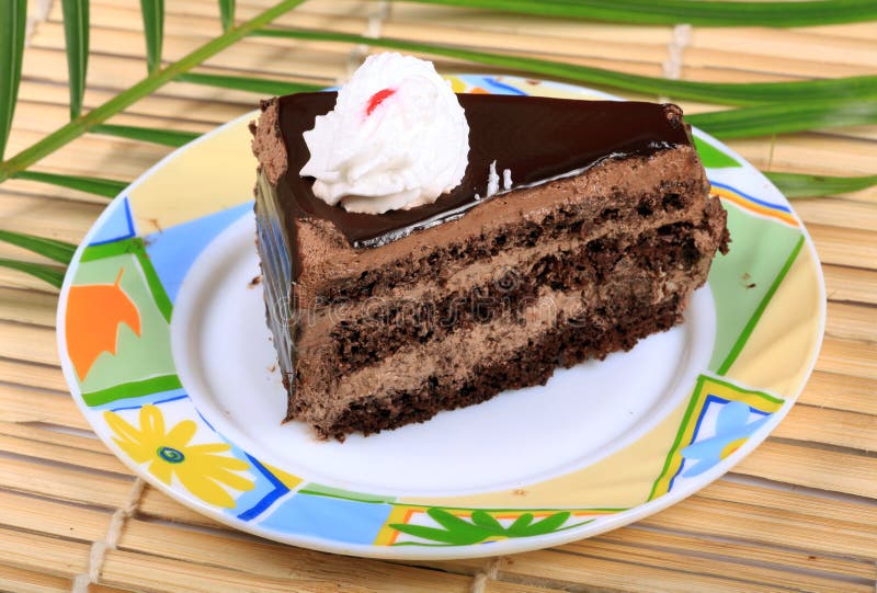 Chocolate cake piece