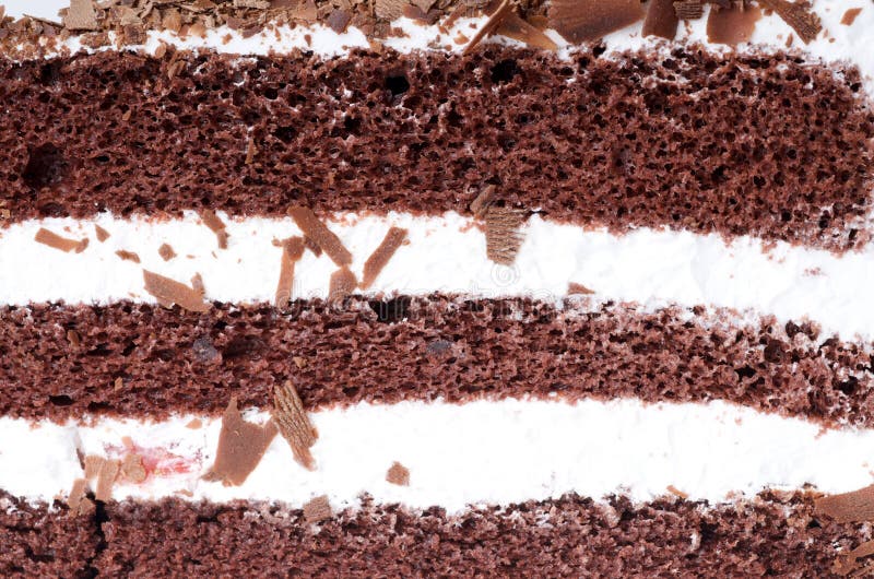 Chocolate Cake texture