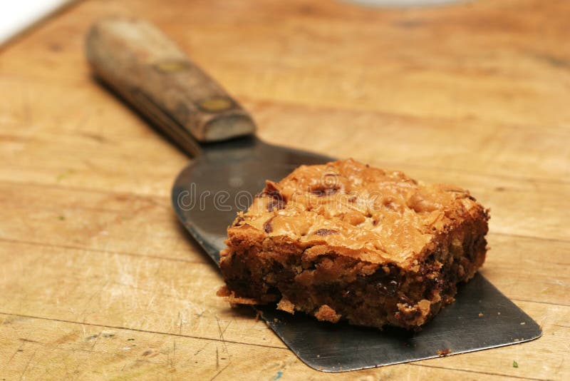 Chocolate chip brownie stock photos