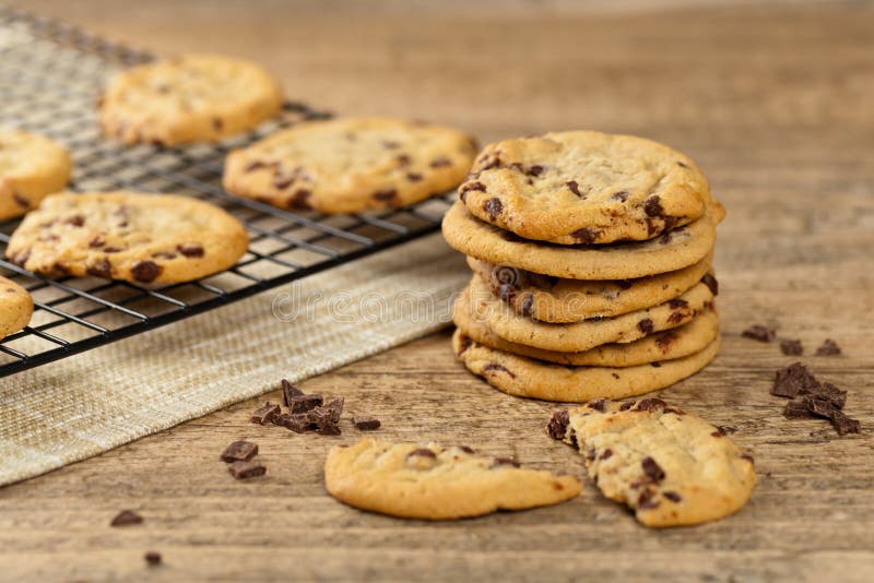 Chocolate Chip Cookie royalty free stock images