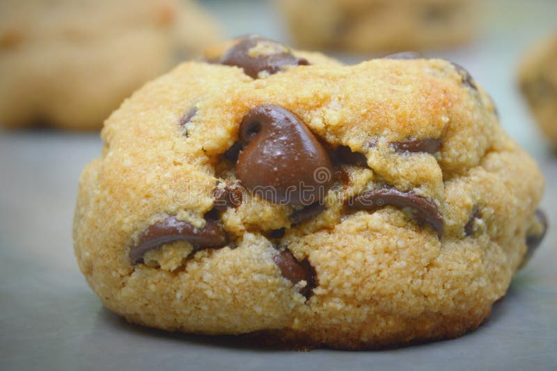 Chocolate chip cookies on a cookie sheet. Grain free, gluten free - made with almond flour and coconut flour. Chocolate chip cookies on a cookie sheet. Grain free, gluten free - made with almond flour and coconut flour.