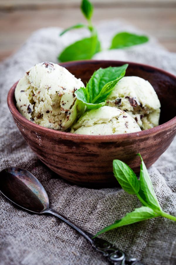 Chocolate chip mint ice cream