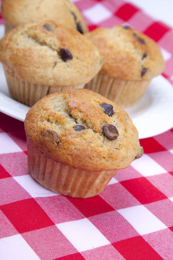 Chocolate Chip Muffins stock image. Image of unhealthy 18839029