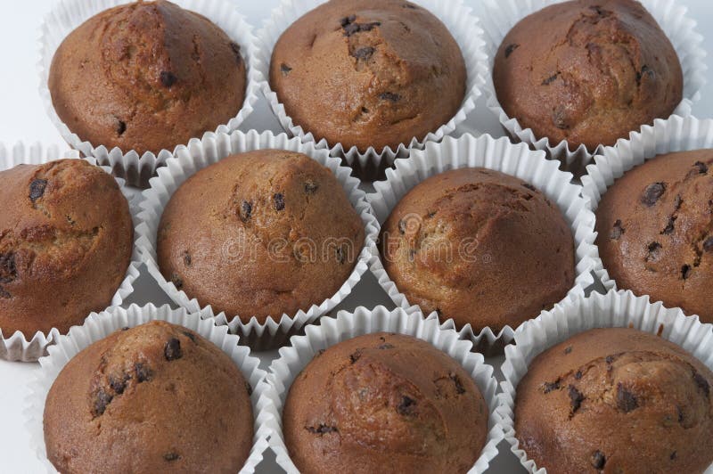 Chocolate chip muffins stock photography