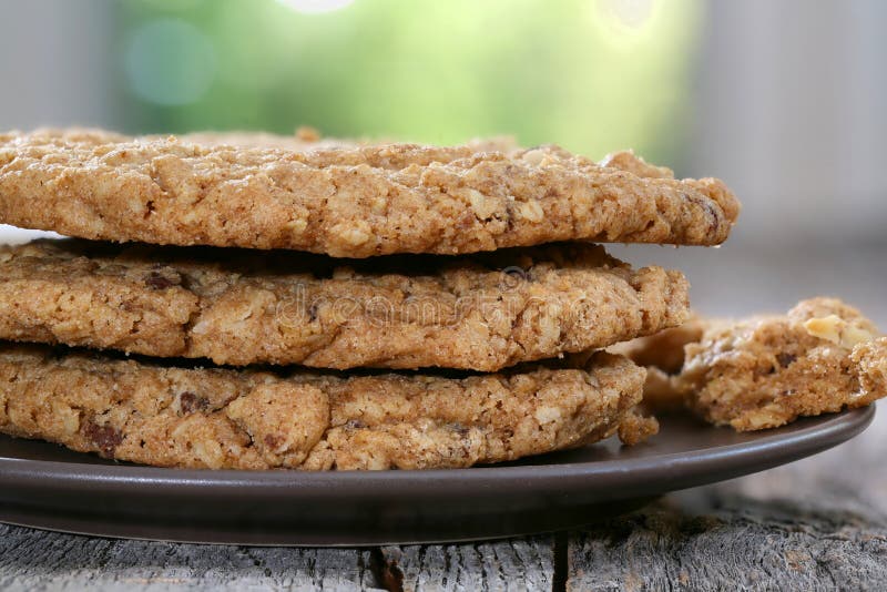 Chocolate Chip Oatmeal Walnut Cookies Stock Photo Image of walnut