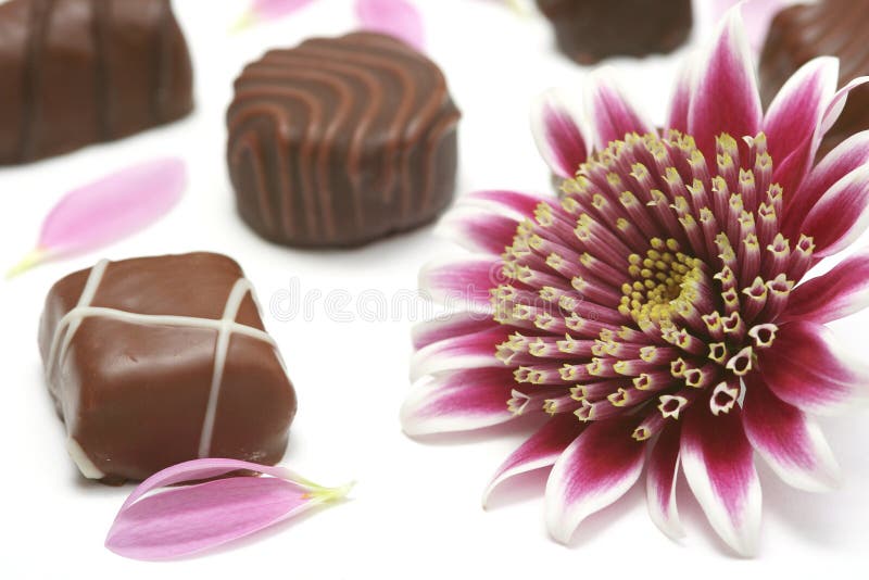 Chocolate fotos de stock royalty free