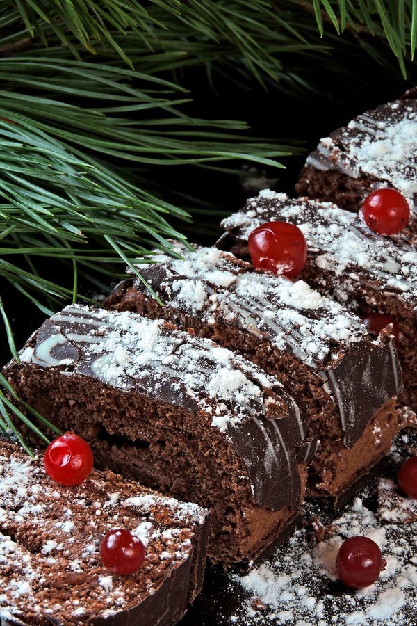 Chocolate Christmas Log in Powdered Sugar with Cranberries. Christmas ...