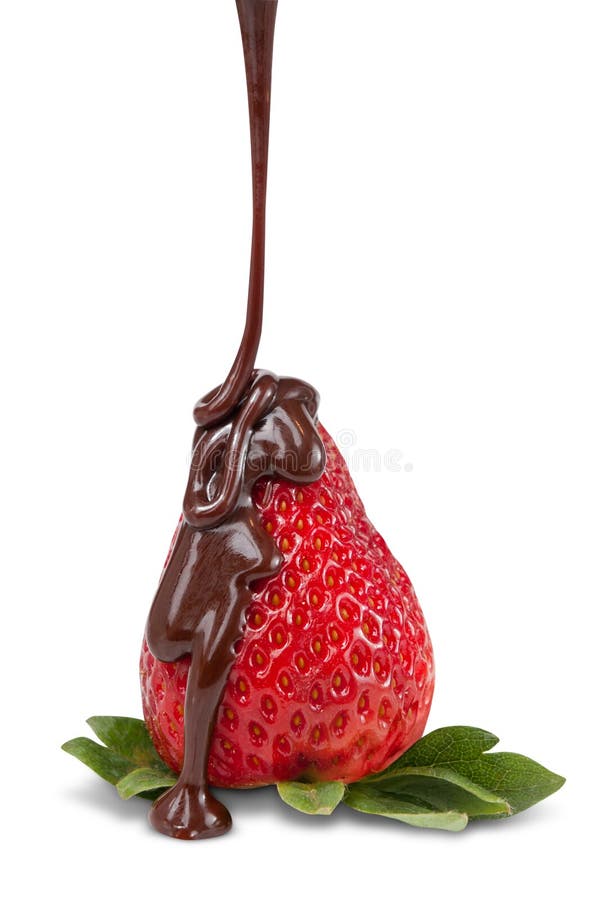 Chocolate coated strawberry