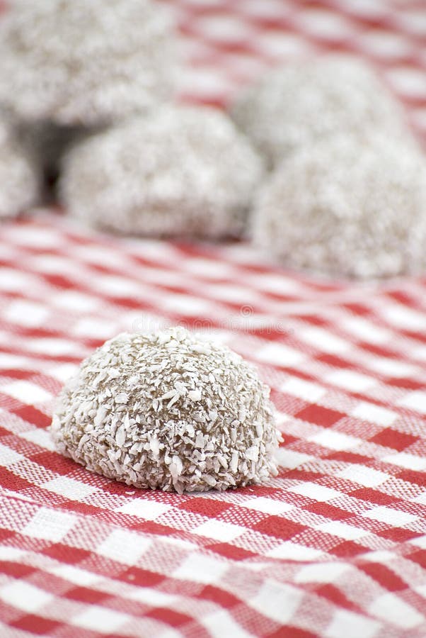 Chocolate and Coconut Covered Marshmallow Stock Image Image of sugar