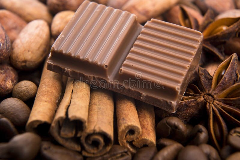 Chocolate with Coffee Beans, Spices and Cacao Stock Image Image of