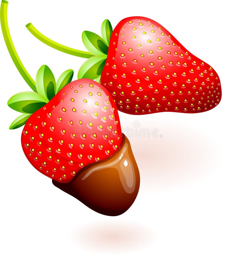 Chocolate Covered Strawberries Stock Illustration Illustration of