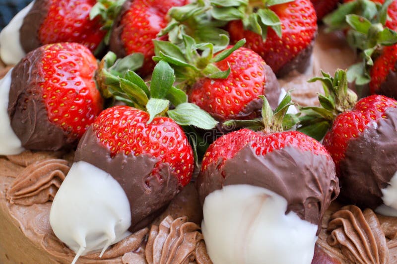 Chocolate Covered Strawberries