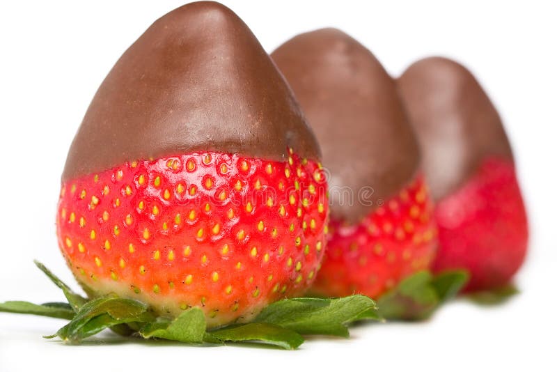 Chocolate Covered Strawberries Stock Image Image of healthy