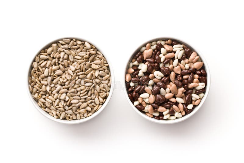 Chocolate Covered Sunflower Seeds Stock Photo Image of brown, food