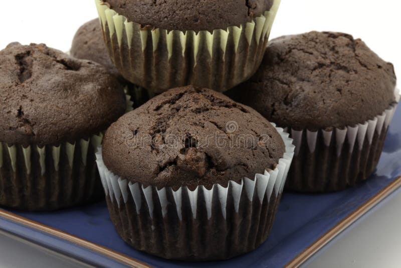 Chocolate cupcakes