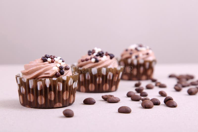 Chocolate cupcakes royalty free stock photo