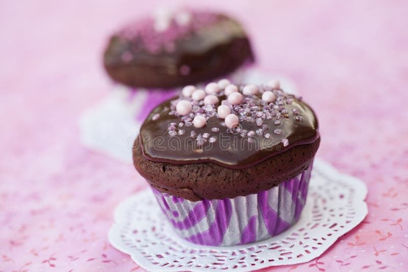Chocolate cupcakes royalty free stock image