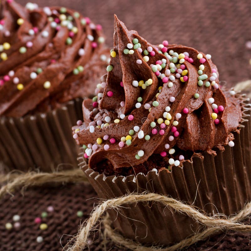 Chocolate cupcakes stock images