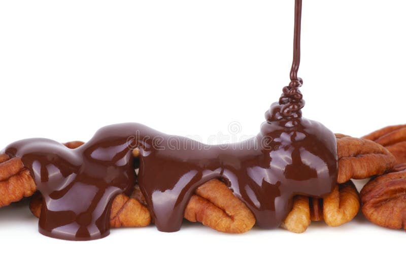 A stream of melted chocolate pouring over a pile of pecans on a white background. A stream of melted chocolate pouring over a pile of pecans on a white background.