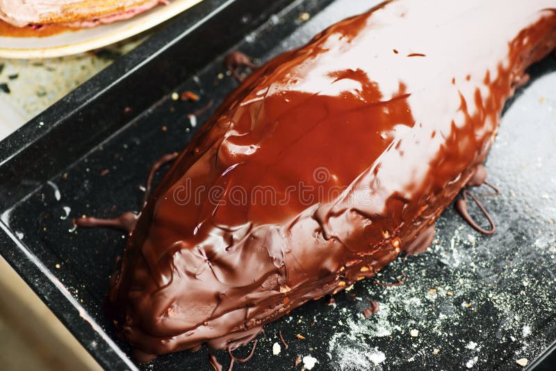Chocolate Dessert in Fish Shape Stock Photo - Image of cuisine