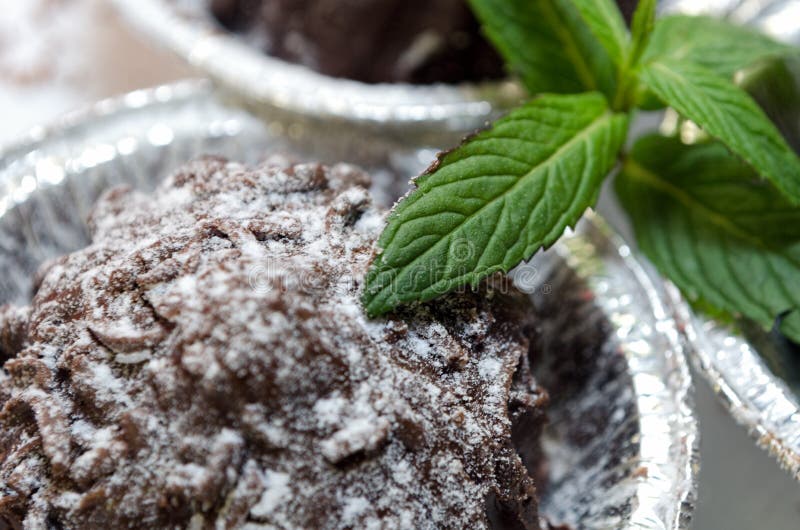 Chocolate Dessert with Mint Leaves Closeup Stock Image Image of