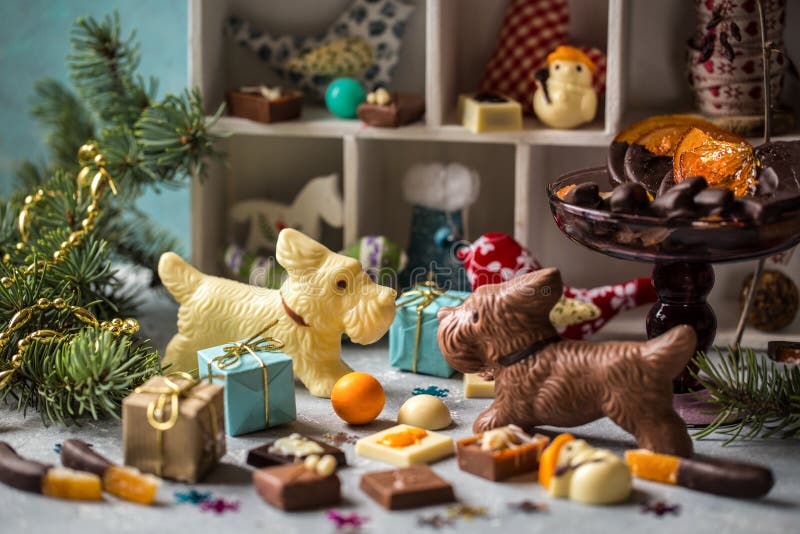 578 Candy Dogs Stock Photos Free & RoyaltyFree Stock Photos from