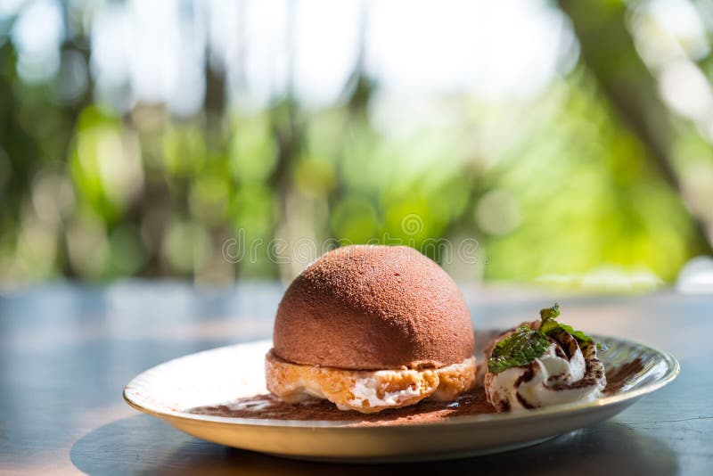 Chocolate dome dessert stock image. Image of dessert 193513215
