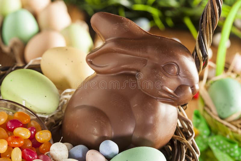 Chocolate Easter Bunny in a Basket Stock Photo Image of rabbit, gift