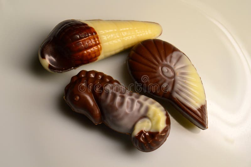 Chocolate in the Form of Sea Creatures and Shells Stock Photo Image