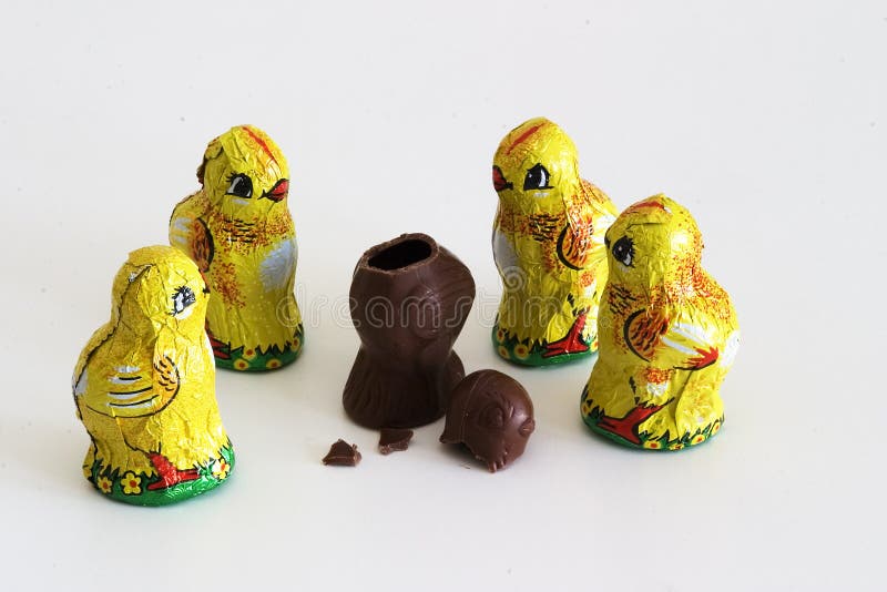 Chocolate hatchlings