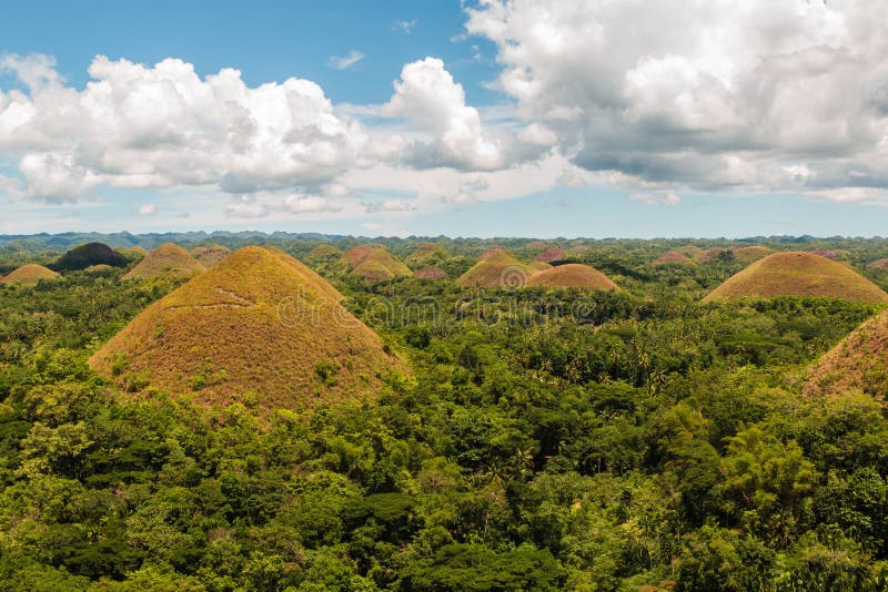 Chocolate Hills in Bohol, The Philippines. Bohol`s most famous tourist attraction stock images Chocolate Hills in Bohol, The Philippines. Bohol`s most famous tourist attraction stock images