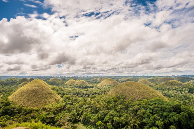 Chocolate Hills Landscape at Philippines Stock Photo Image of jungle