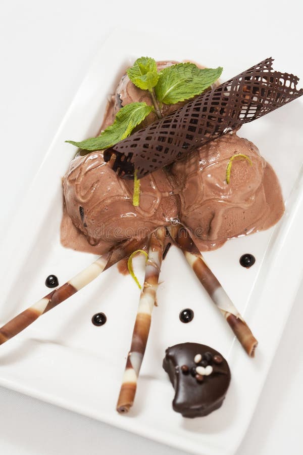 Chocolate ice cream dessert with mint