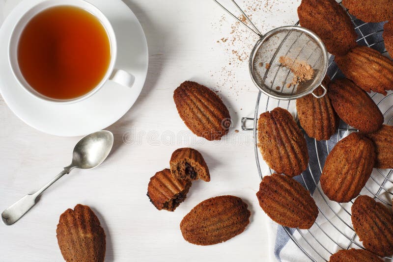 Chocolate Madeleine. French Madeleine Stock Image Image of breakfast